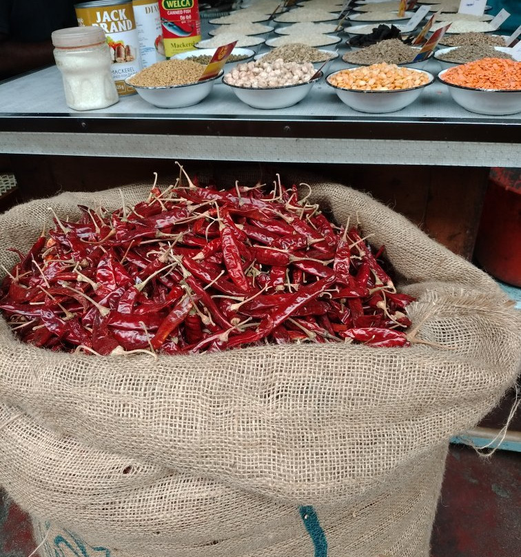 Singing Fish Tuk-科伦坡必去景点