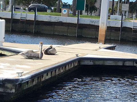 Wild Florida Ecotours-那不勒斯必去景点