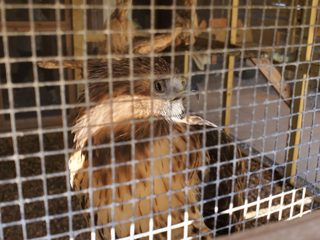 Gulf State Park Nature Center-橙色海湾必去景点