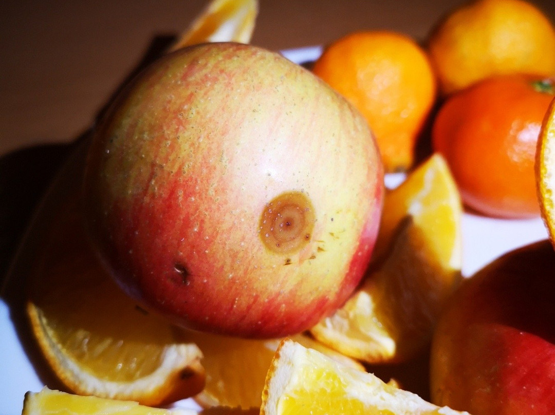 Best Baltic Hotel Palanga主图