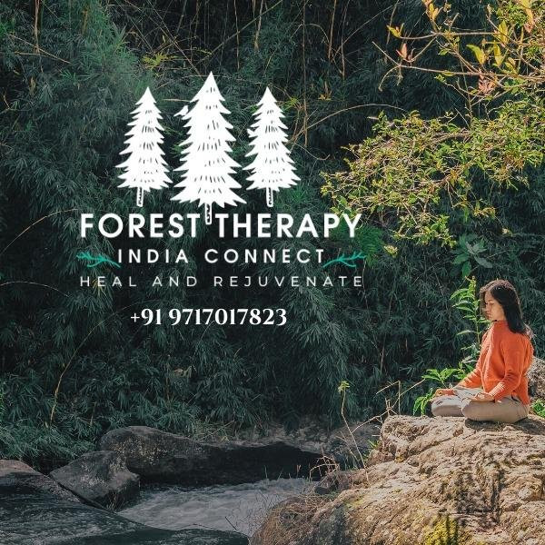 Forest Therapy India