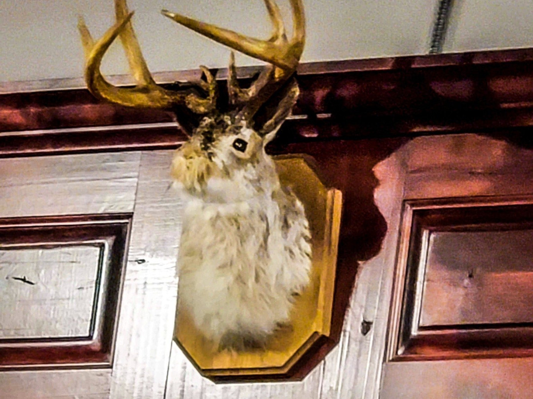 Mountain Fork Brewery-Broken Bow必去景点