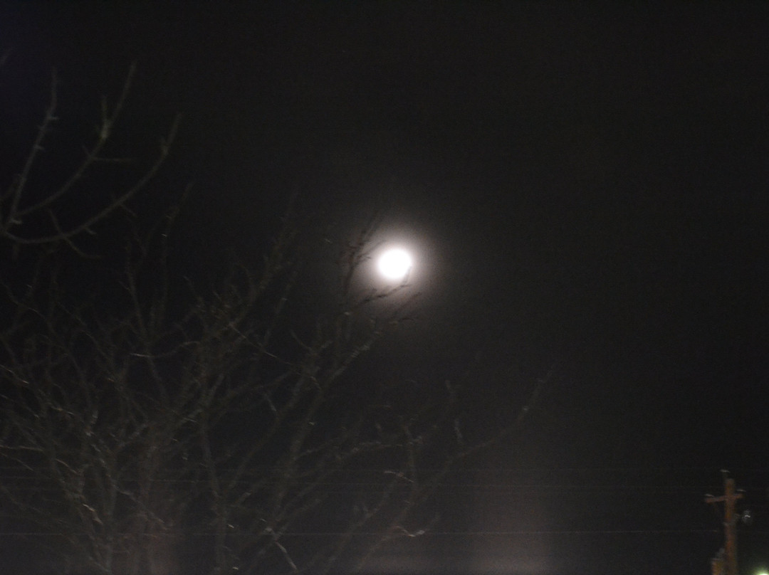 Hampton Inn & Suites Carson City主图