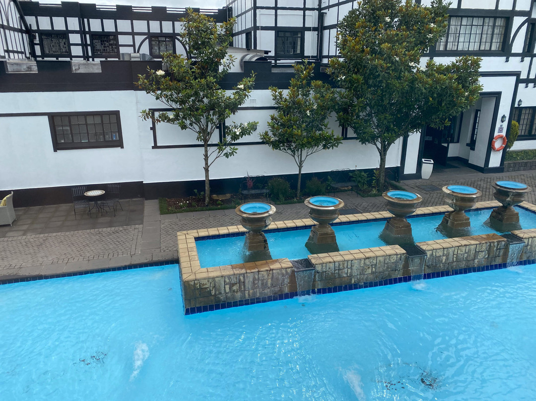 ANEW Hotel Hilton Pietermaritzburg主图