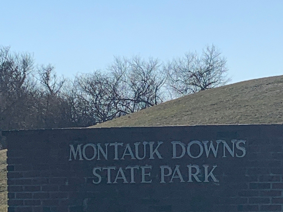 Montauk Downs State Park景点图片