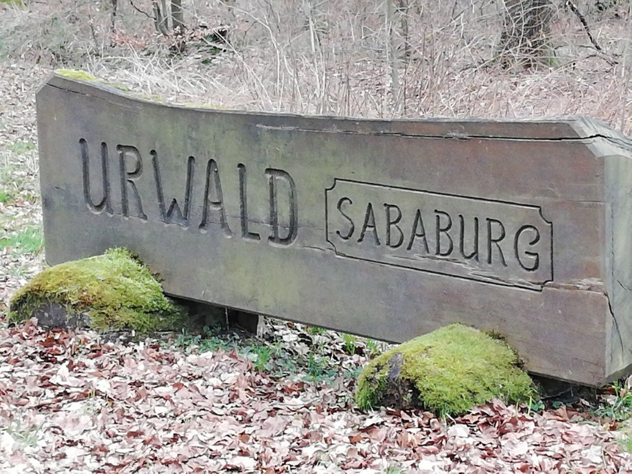 Urwald Sababurg-卡塞尔行政区必去景点