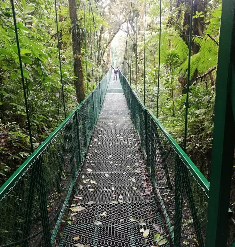 Monteverde Tours-Cerro Plano必去景点