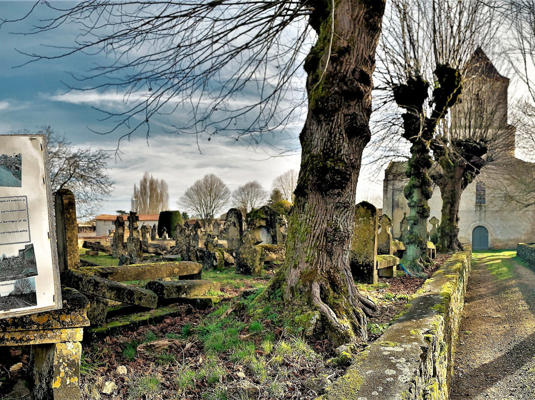 Cimetière de Verrines, site historique景点图片