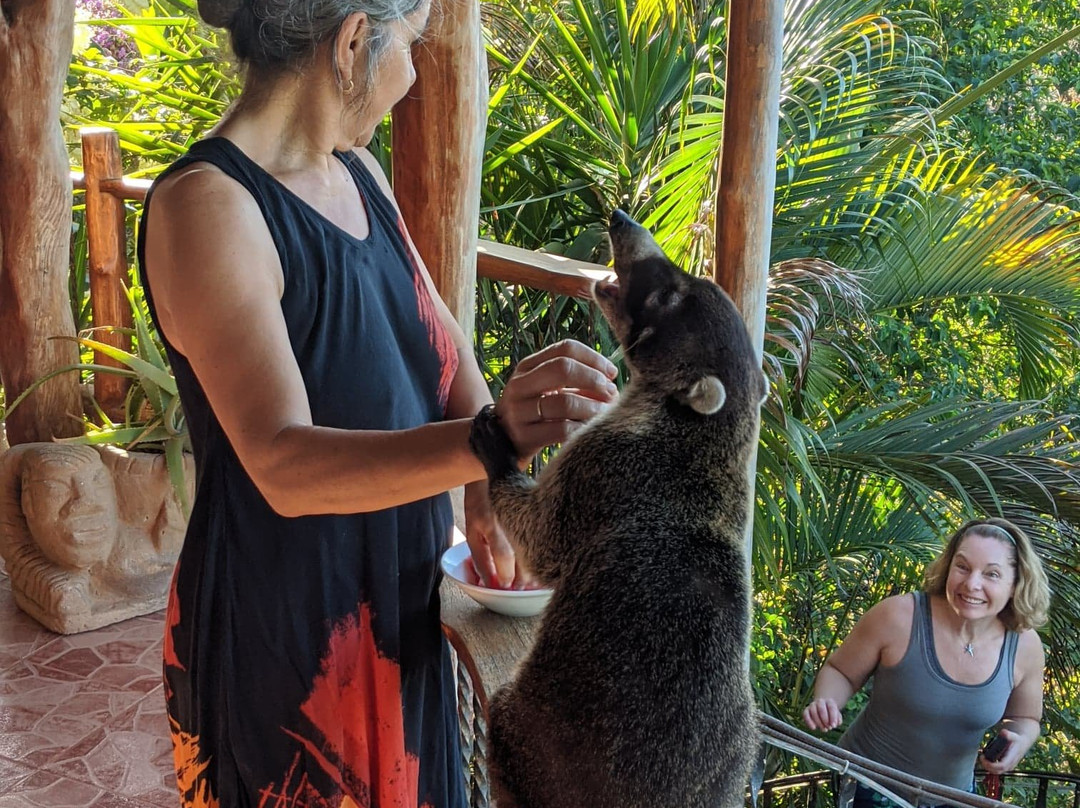 Villa Mango B&B主图