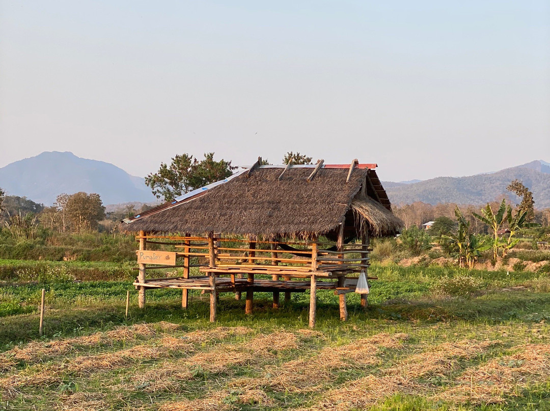 DaiDib DaiDee Permaculture Thailand景点图片