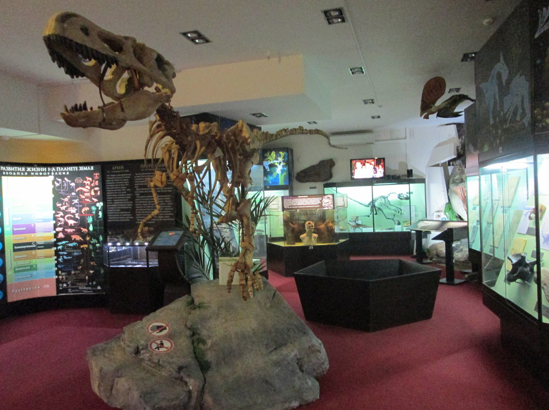 Vyatka Museum of Paleontology景点图片
