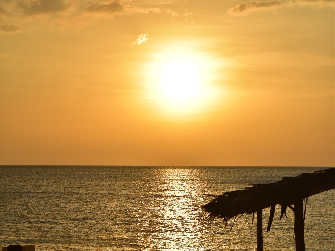 罗莎莎洋渡假村主图