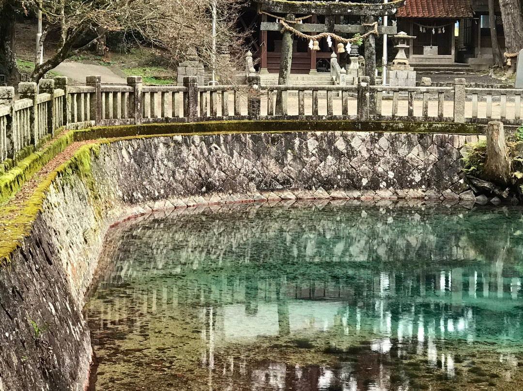 別府弁天池湧水景点图片