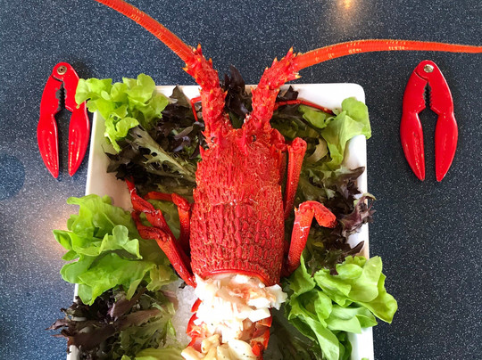 Tasmanian Wild Seafood Adventures-霍巴特必去景点