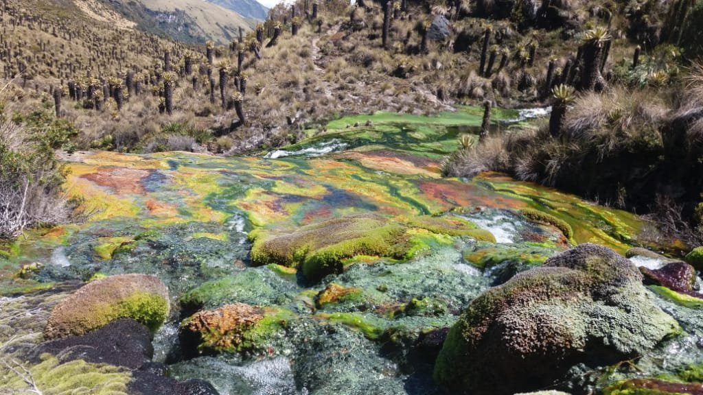 Termales la Cabana-Murillo必去景点