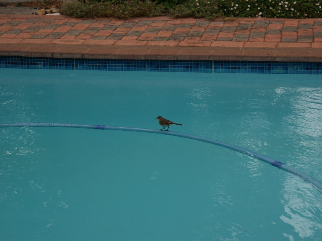 75 on Milner Lodge主图