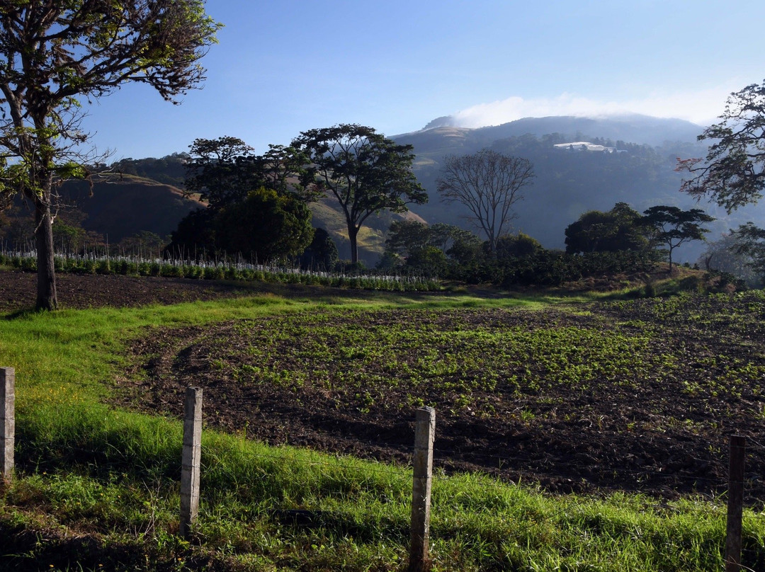 Posada Los Haticos主图