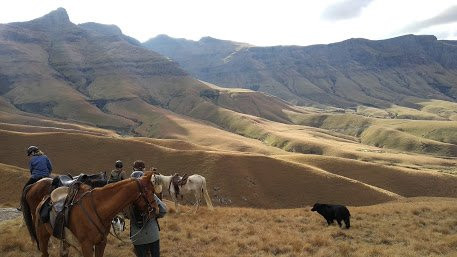 Moria Horse Riding景点图片