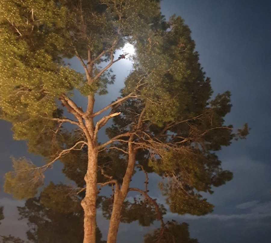 Finca El Otero主图