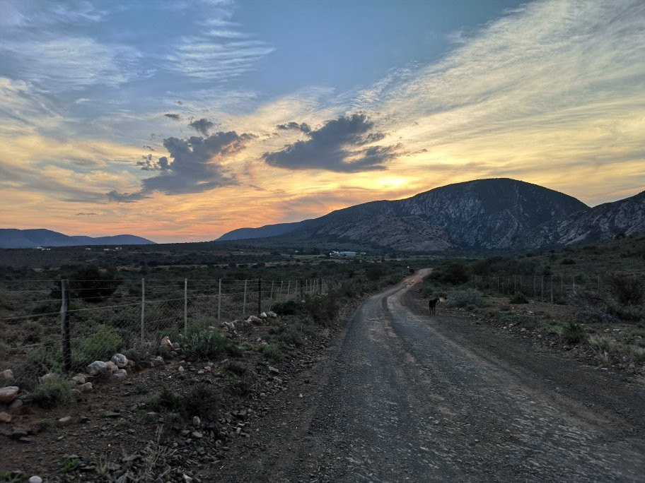 Dorschfontein Guest Farm主图