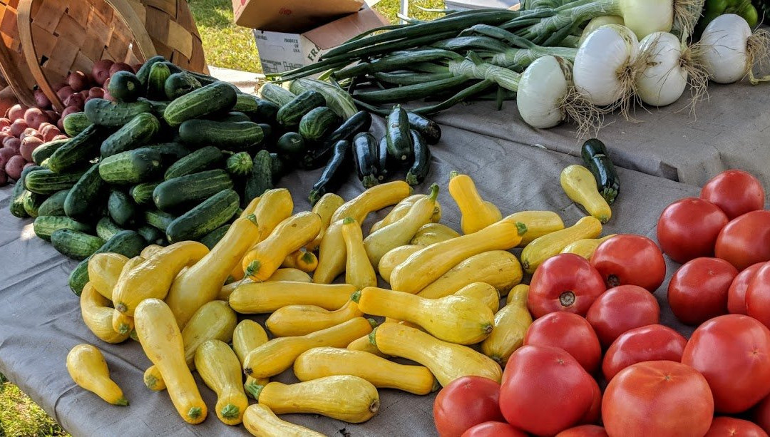 Sumter Farmers Market景点图片