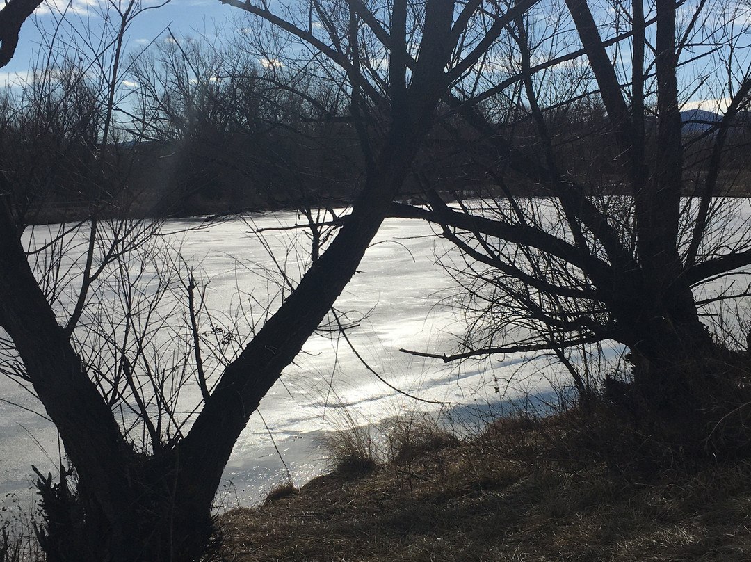 Bear Creek Lake Park景点图片
