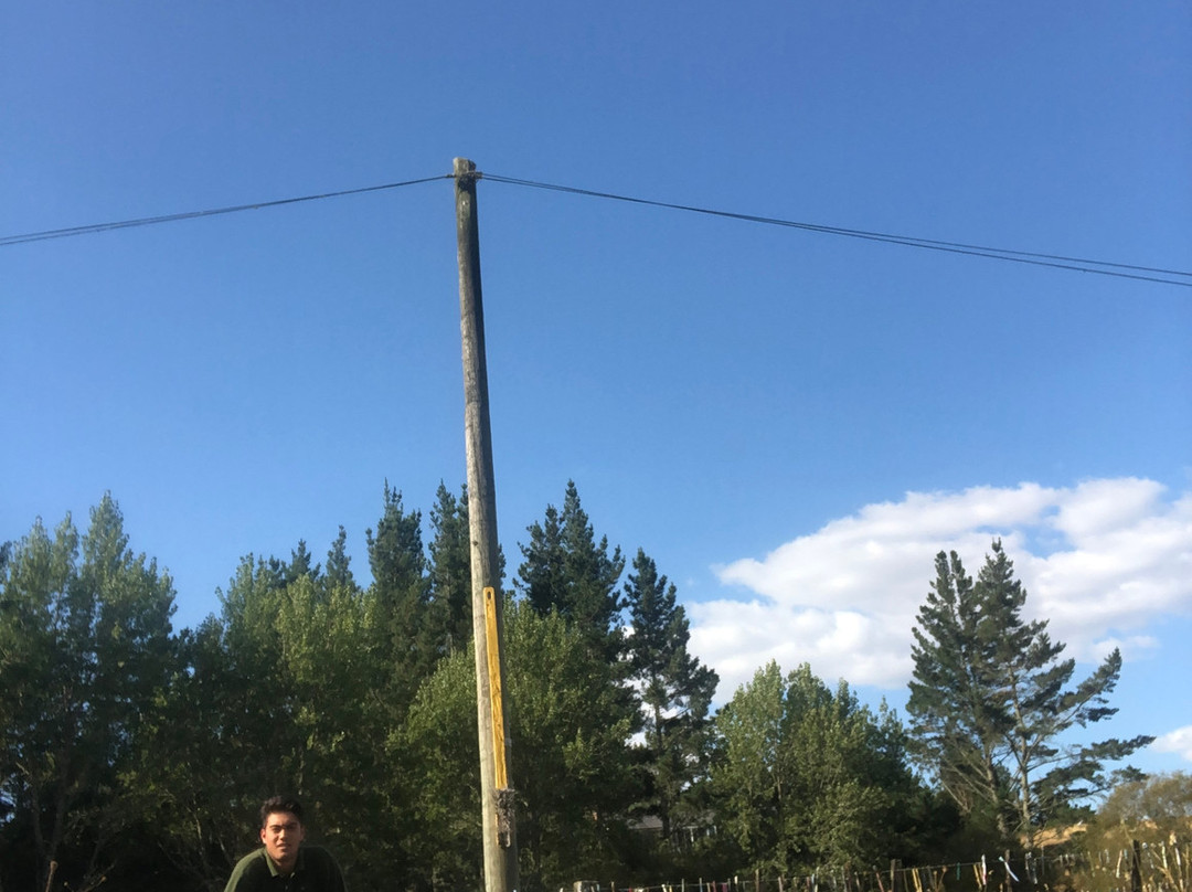 The Toothbrush Fence-汉密尔顿必去景点