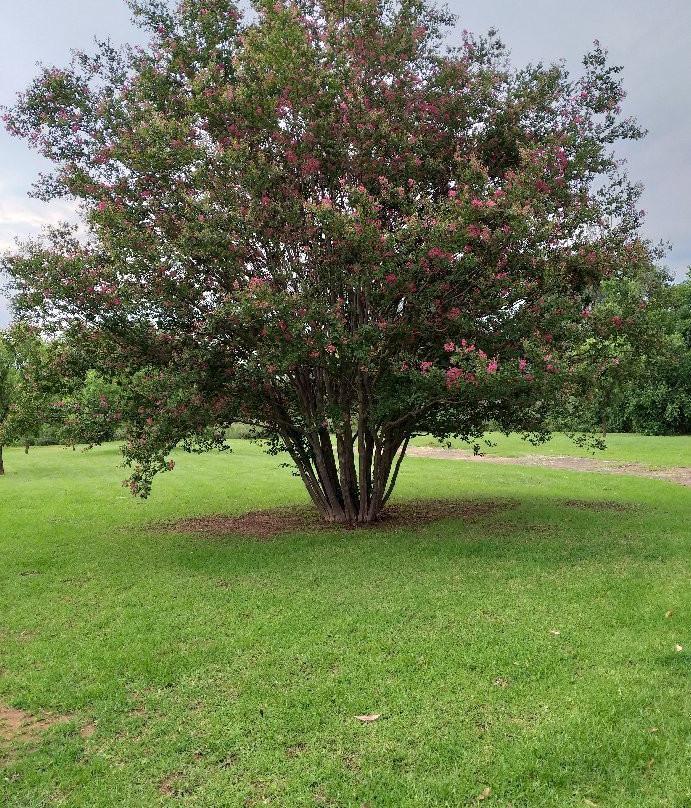 Aqua Terra Guest House主图