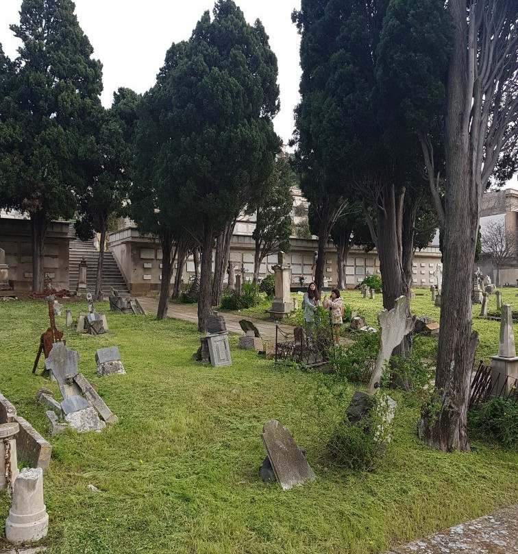CImitero Monumentale di Bonaria-卡利亚里省必去景点