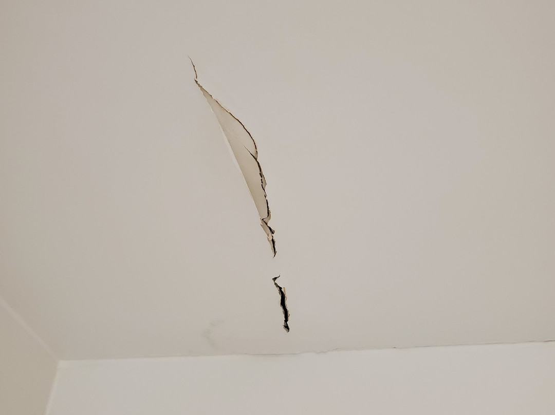 Wingate by Wyndham Goodlettsville主图