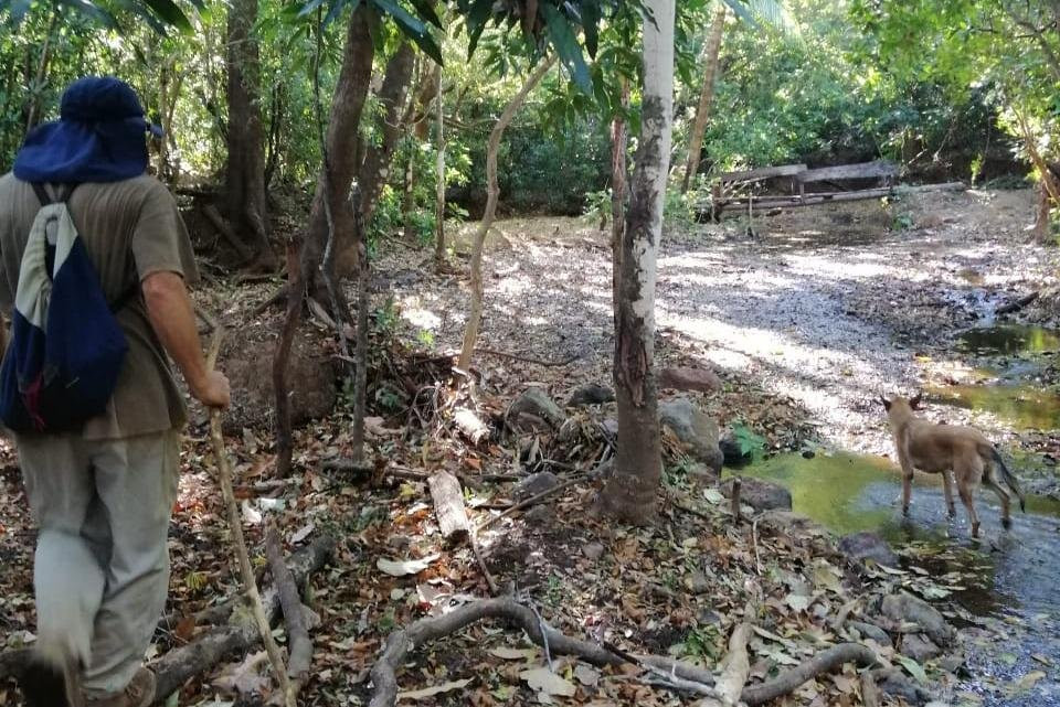 Nature walks in the Costa Rica Mountains景点图片