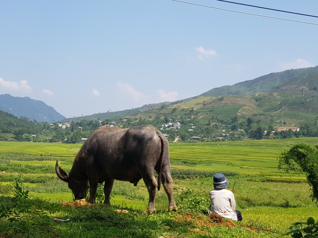 Sapa Eco Garden主图