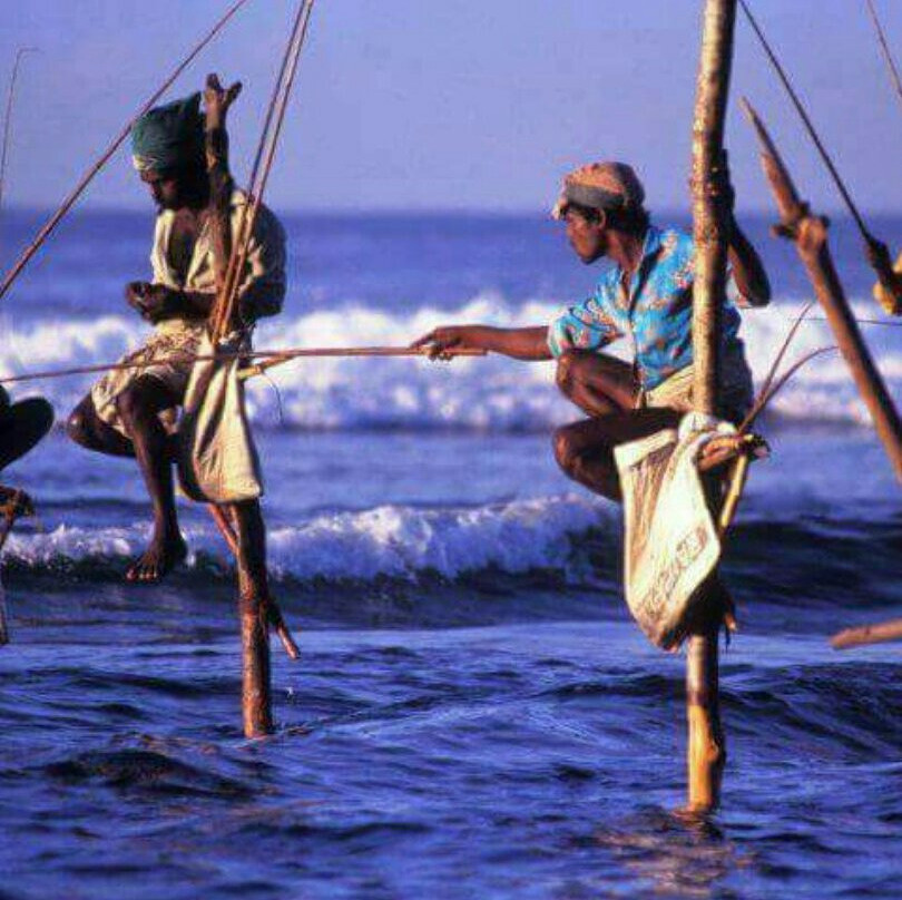 Dasa Beach View主图