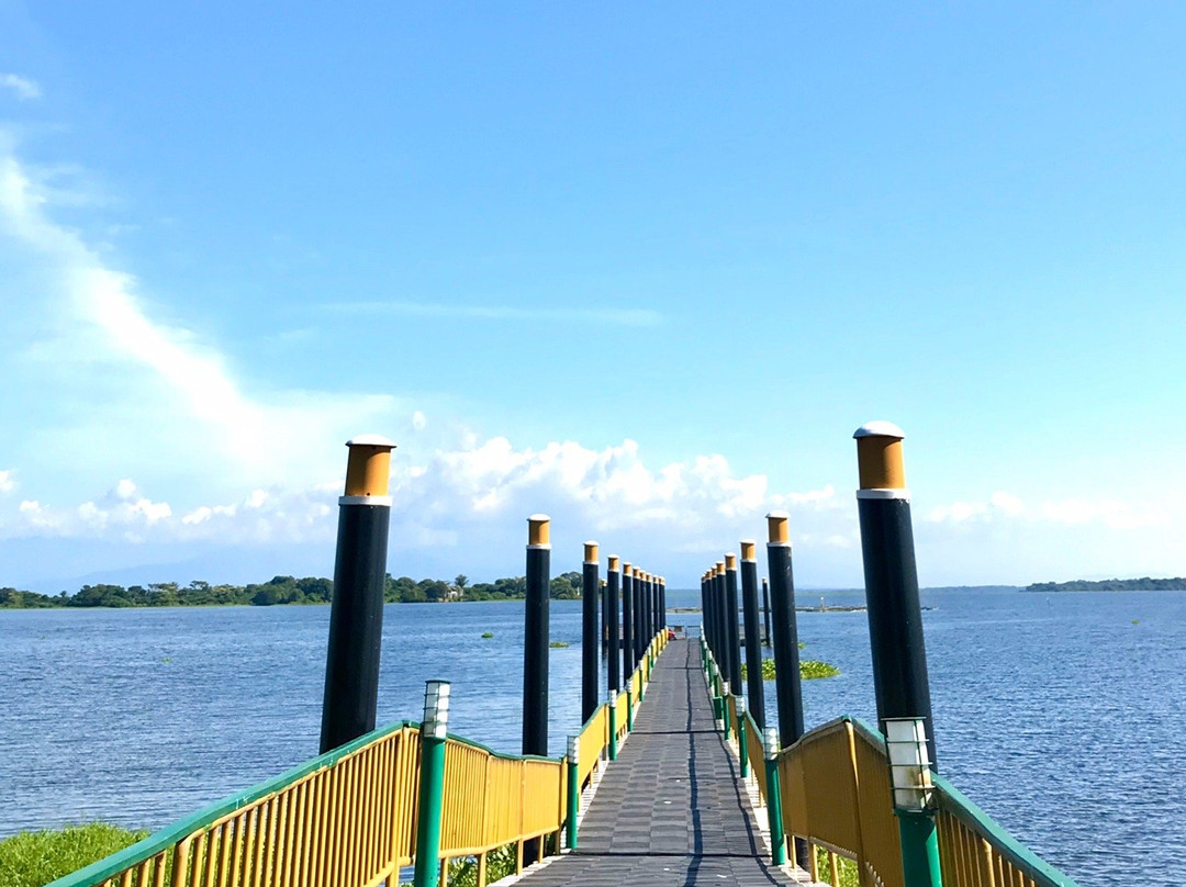 MIrador Turistico Cienaga De Zapatosa-Chimichagua必去景点