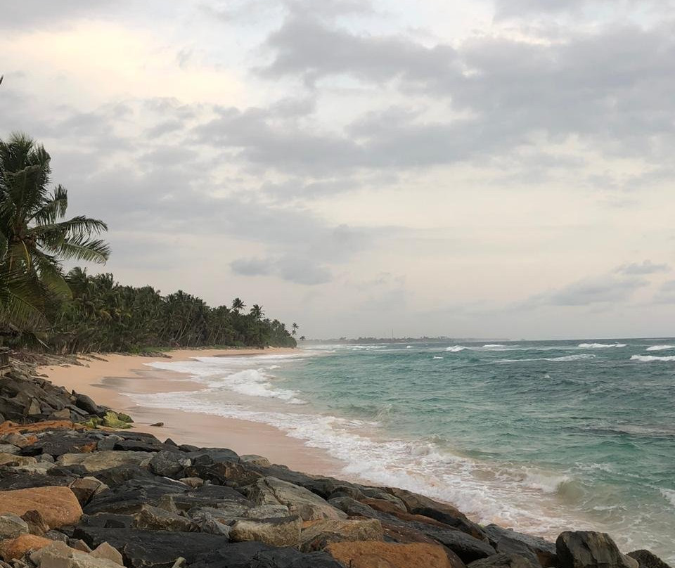 哈密瓜水族主图