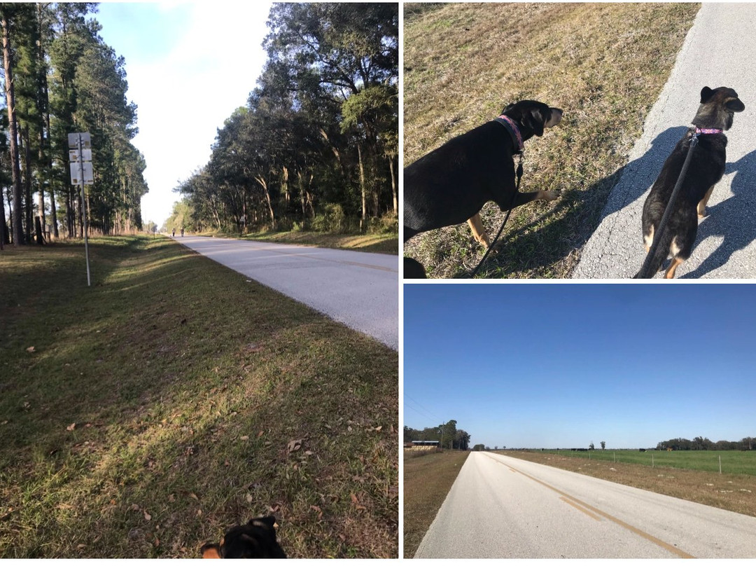 Breezy Acres Campground