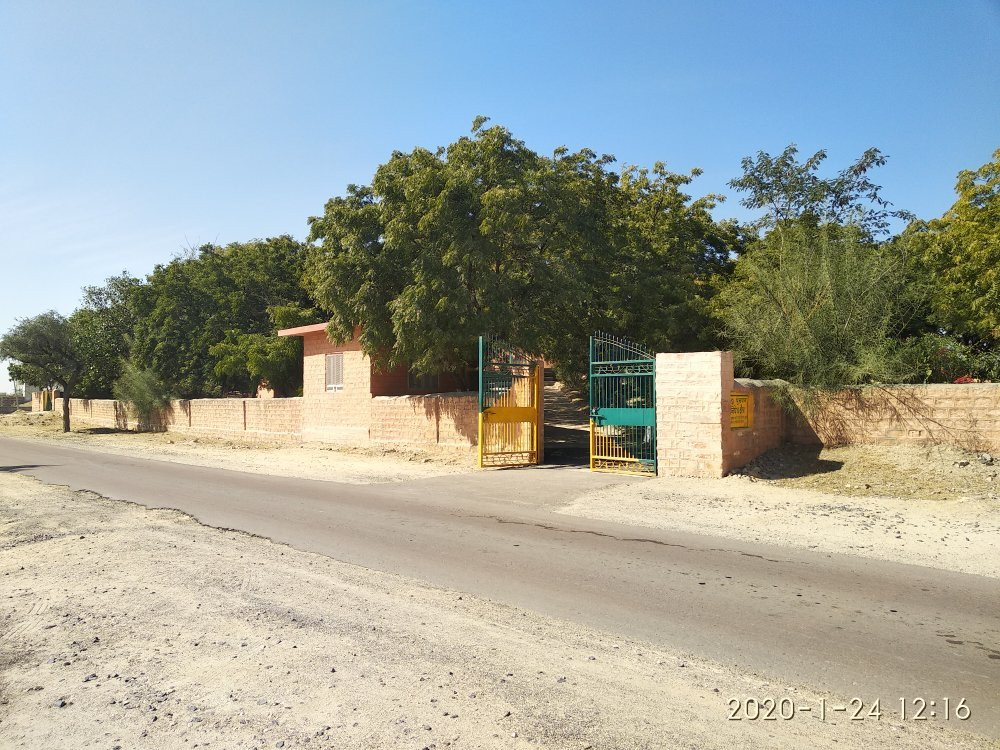 Gudo Bishnoi Lake景点图片