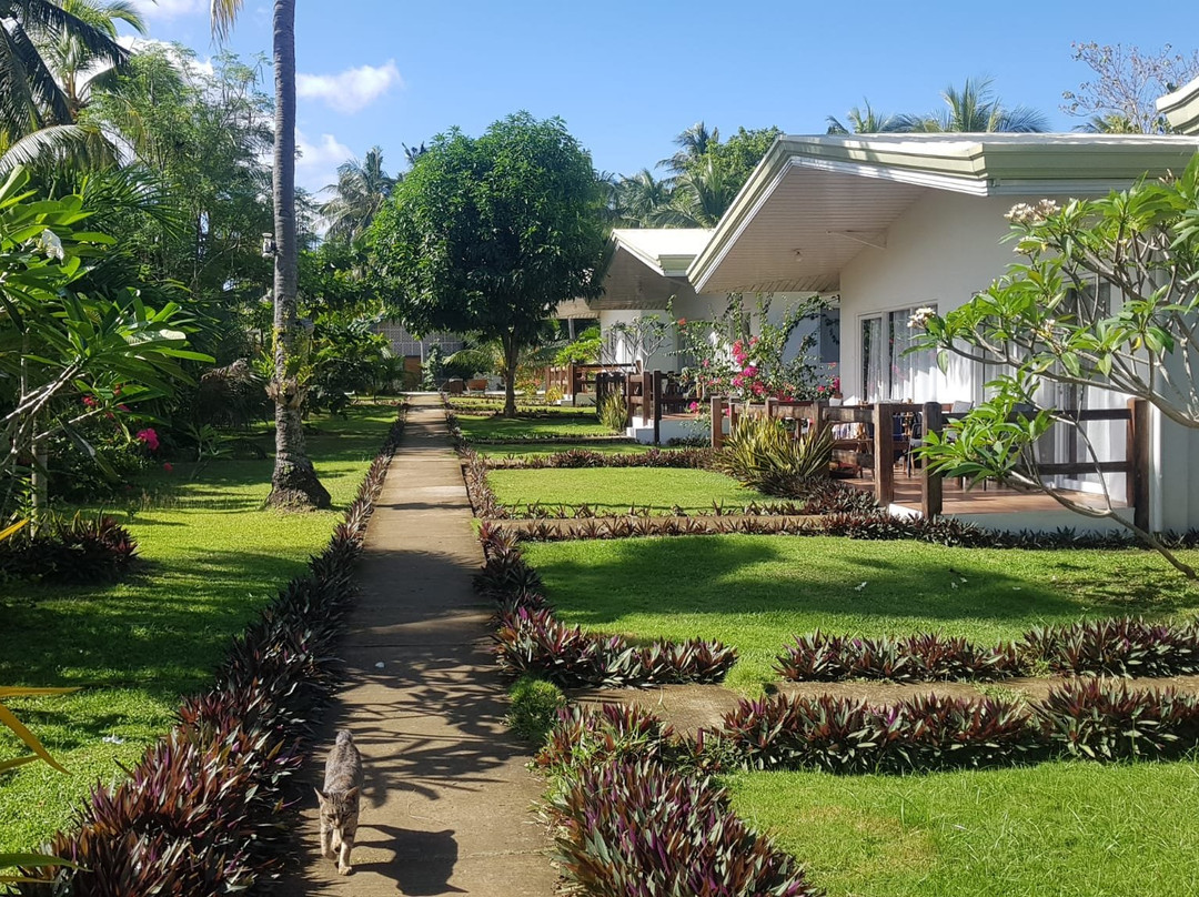 桑丁岸岛潜水度假村主图