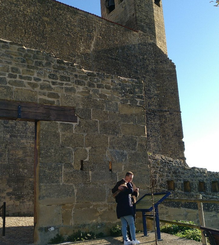 Castillo De San Vicente景点图片