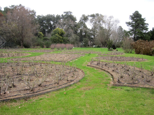 Isla El Descanso-布宜诺斯艾利斯必去景点