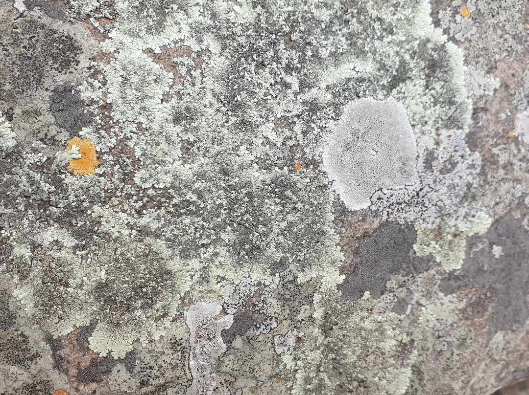 Mountain Sanctuary Park-Magaliesburg必去景点