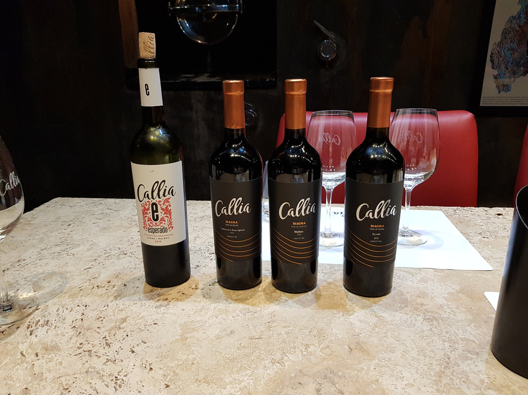 Bodegas Callia景点图片