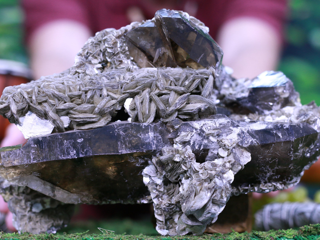 Cosmic Cuts-落基山城必去景点