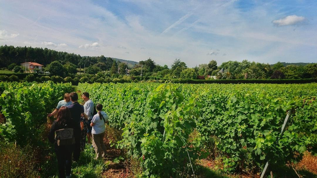 Exploring Cantabria-桑坦德必去景点