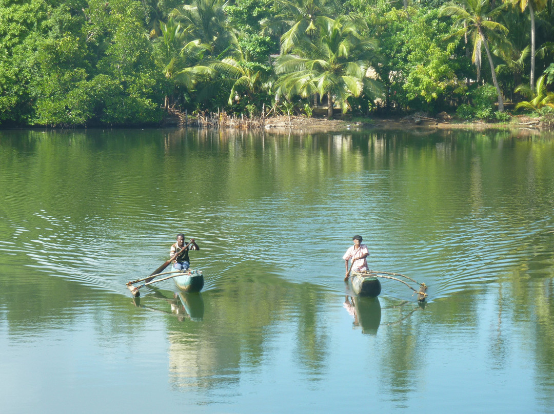 Hikkaduwa Lagoon Safari景点图片