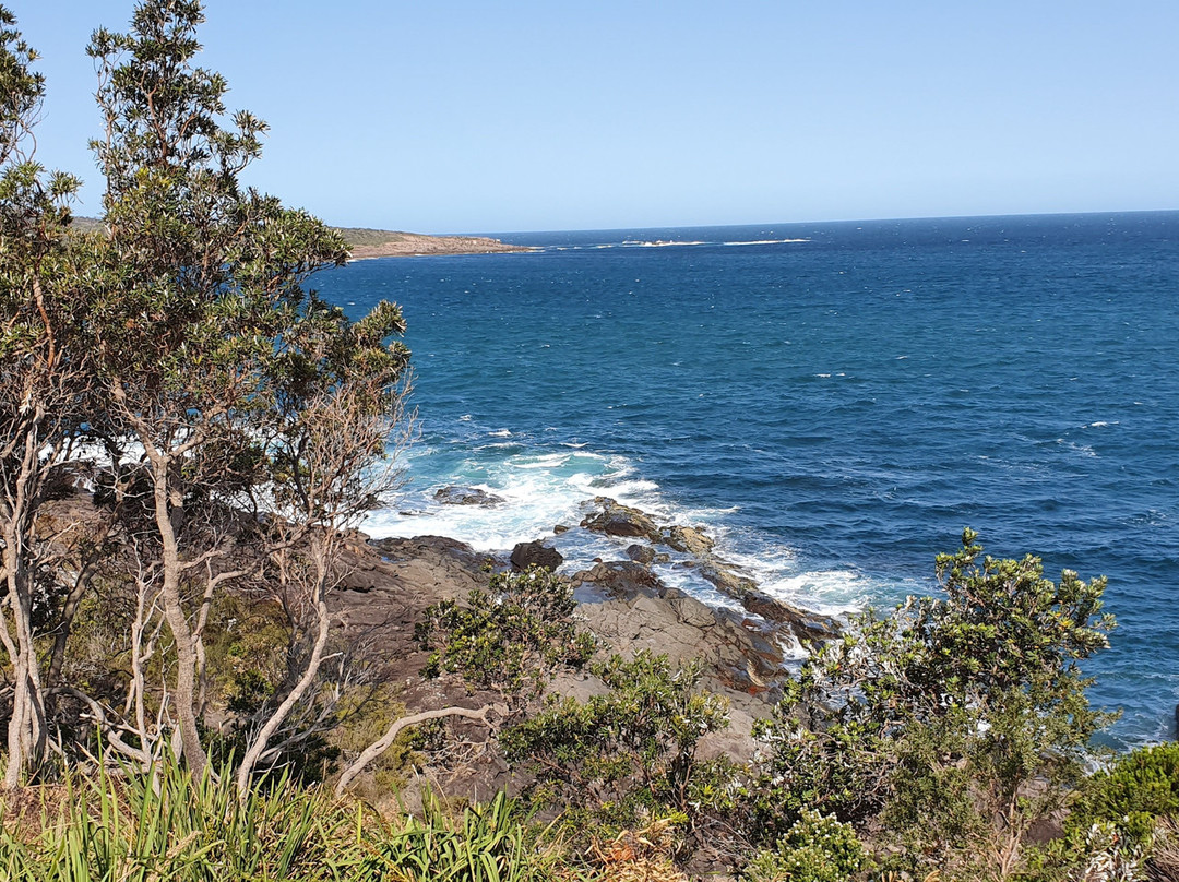 Barry Park Lookout景点图片