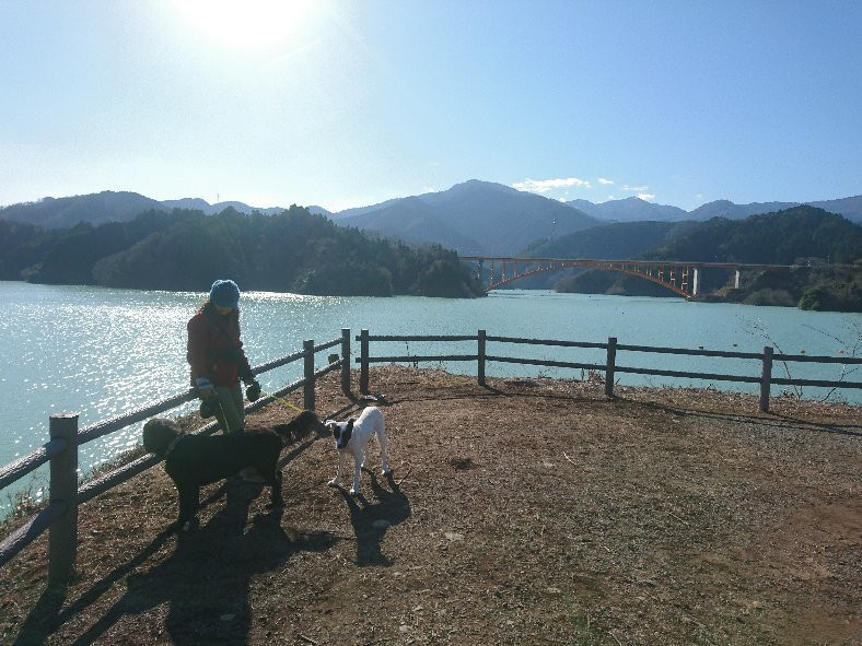 Miyagase Lake Shore景点图片