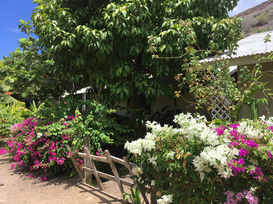 Chez Maurice et Delphine主图