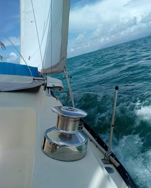 Casual Fare Sailing Charters Townsville-汤斯维尔必去景点