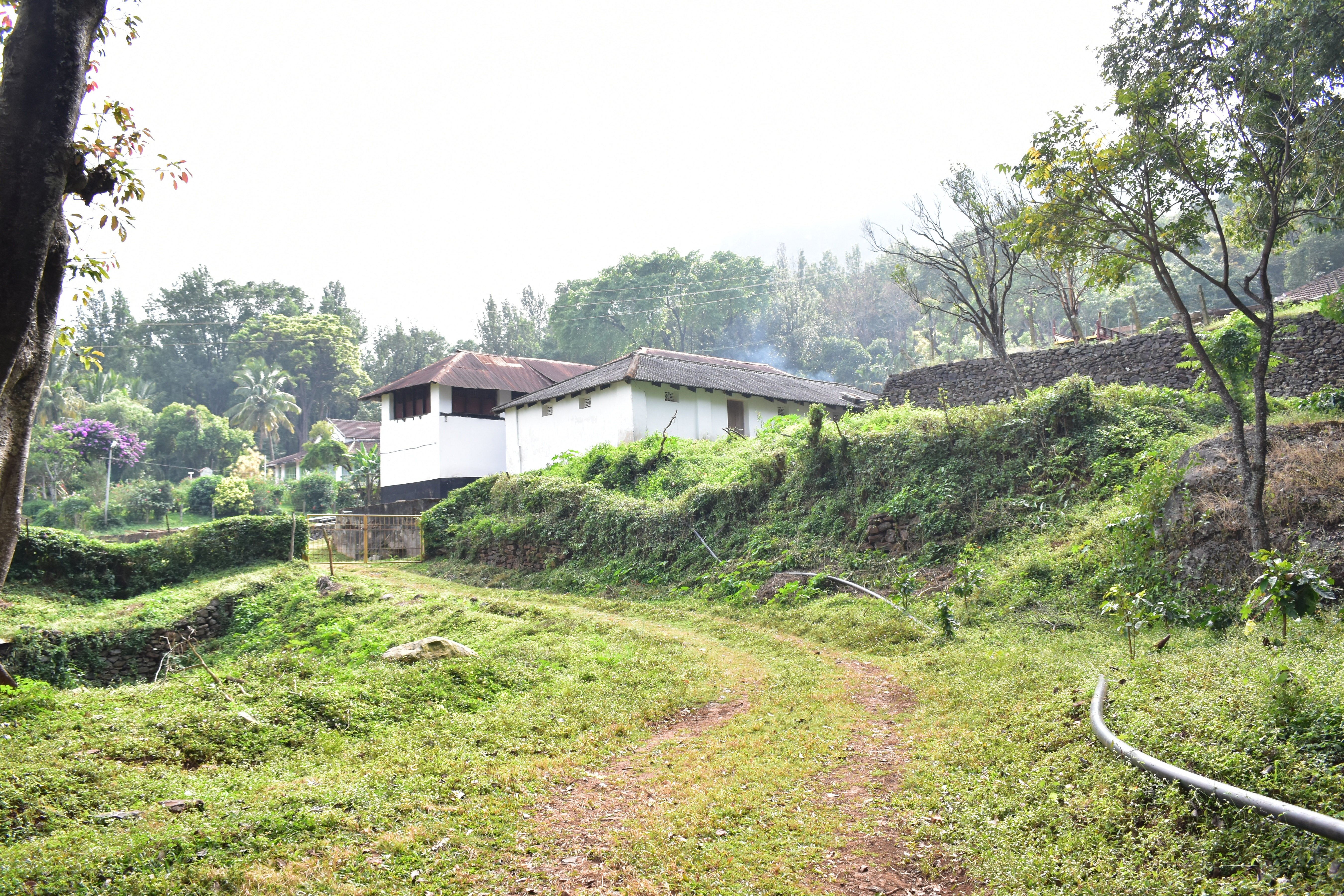 The Wildernest Homestay-官方